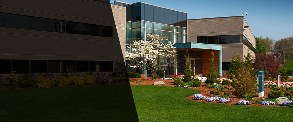 Zephyrhills Landscapers