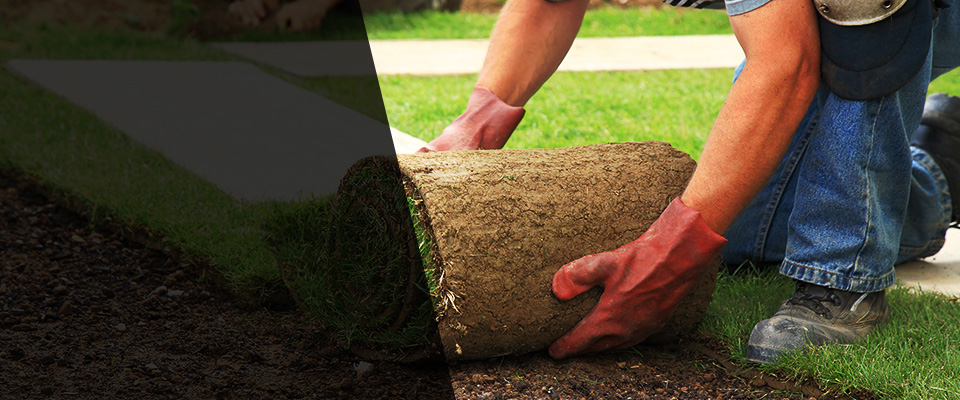 Zephyrhills Landscapers