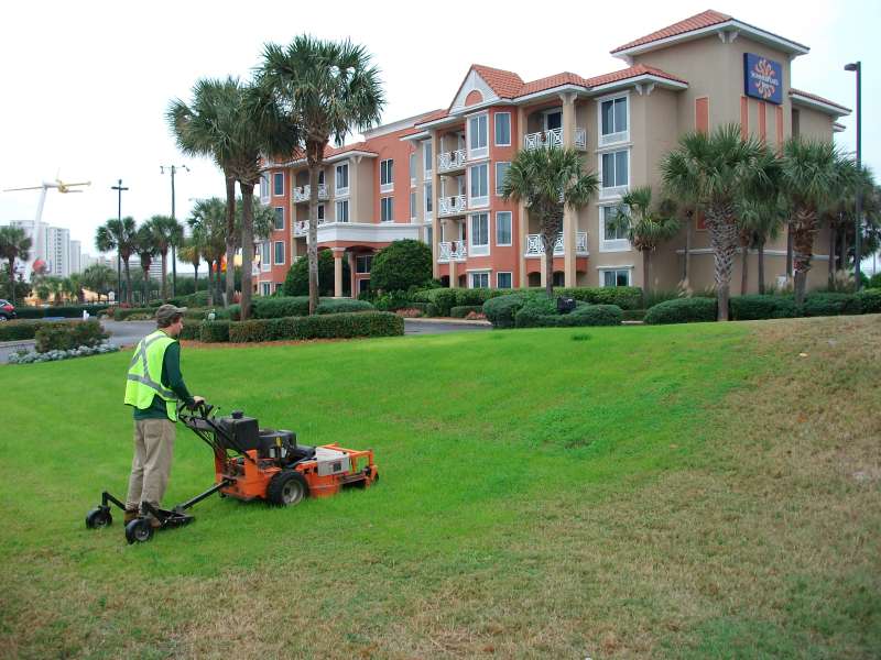 Sustainable Landscaping